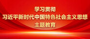 岛国大屌日屄学习贯彻习近平新时代中国特色社会主义思想主题教育_fororder_ad-371X160(2)